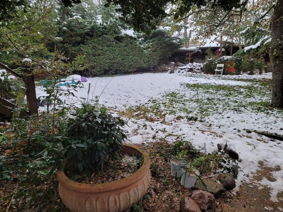 Gaestewohnung " Am Harsdorf " Magdeburk Exteriér fotografie
